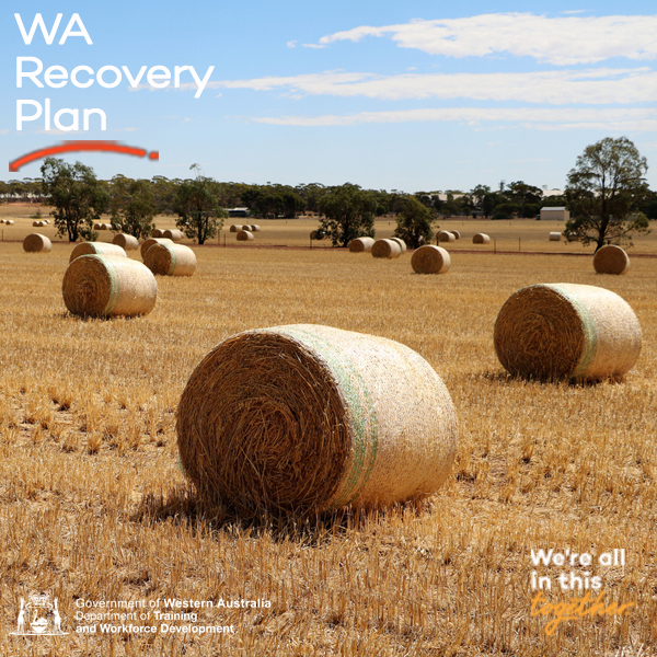 Wheatbelt Recovery Plan unveiled